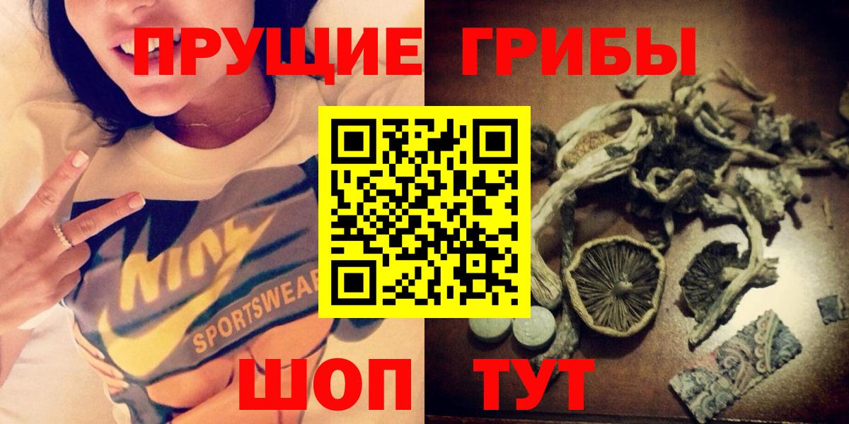 Галлюциногенные грибы Psilocybe  Галлюциногенные грибы мухоморы  Елизово  Вход с VPN 
