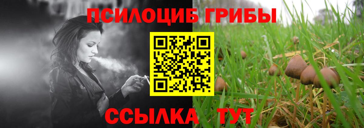 Псилоцибиновые грибы мухоморы Елизово