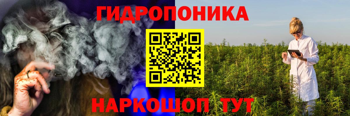 Елизово  Канабис сатива  Вход с VPN  Бошки марихуана AK-47  Канабис Ganja 